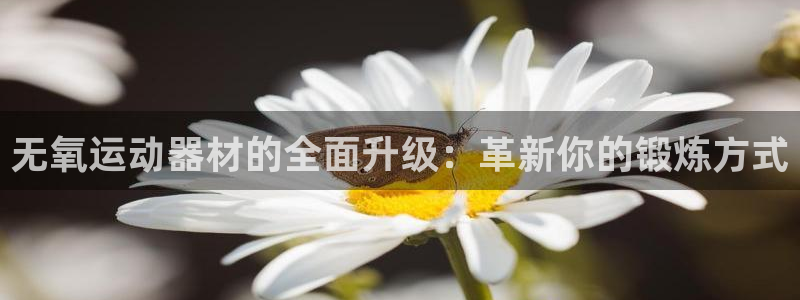 海南凯捷体育：无氧运动器材的全面升级：革新你的锻炼方