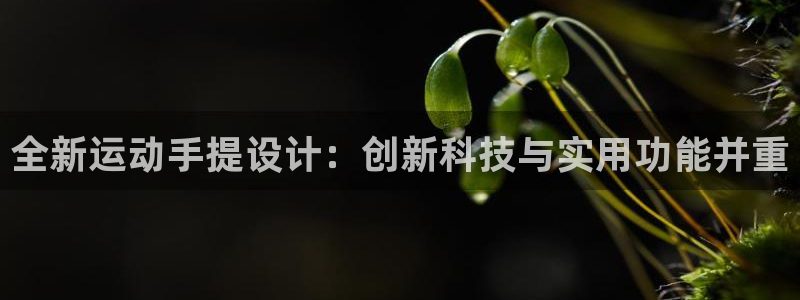 凯捷体育招商电话号码查询是多少：全新运动手提设计：创