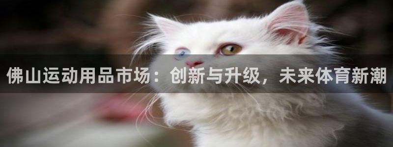 凯捷体育招商电话：佛山运动用品市场：创新与升级，未来