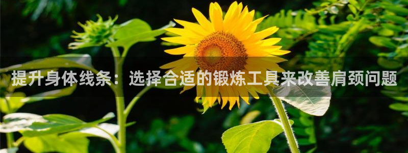 凯捷体育娱乐首页网站大全：提升身体线条：选择合适的锻