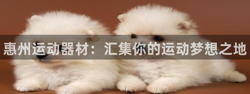 凯捷体育招商：惠州运动器材：汇集你的运动梦想之地