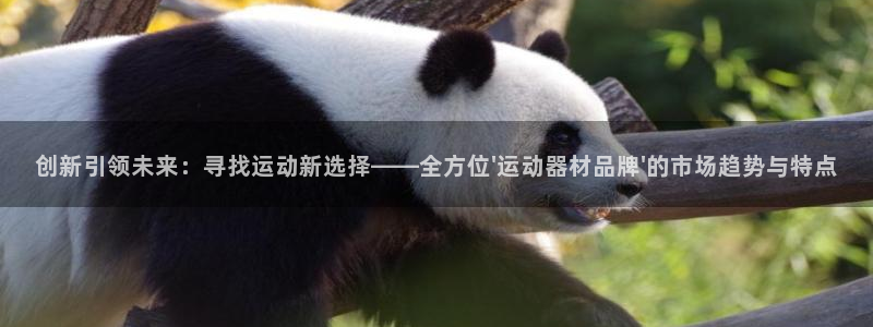 意昂平台体育：创新引领未来：寻找运动新选择——全方位