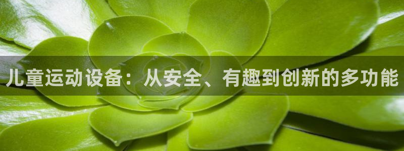 凯捷体育：儿童运动设备：从安全、有趣到创新的多功能