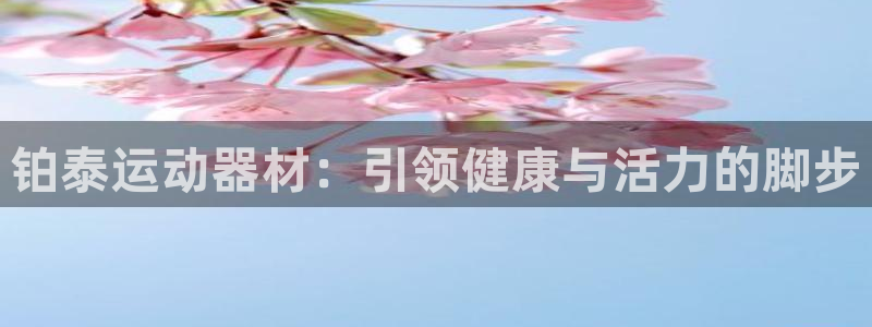 凯捷体育代理：铂泰运动器材：引领健康与活力的脚步