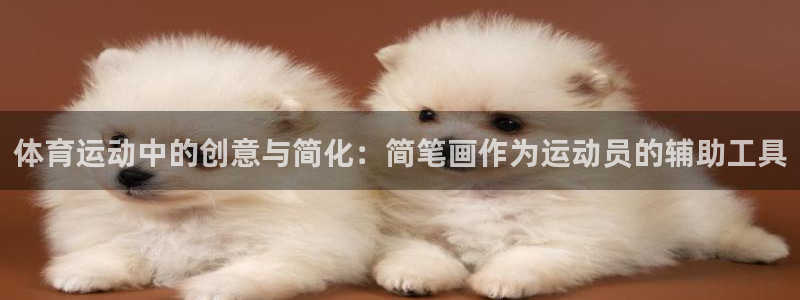 意昂集团官网：体育运动中的创意与简化：简笔画作为运动