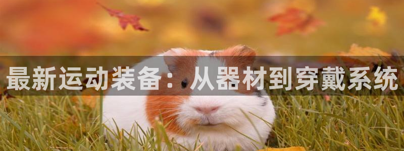 凯捷体育平台APP：最新运动装备：从器材到穿戴系统
