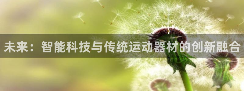 凯捷体育平台是正规平台吗：未来：智能科技与传统运动器