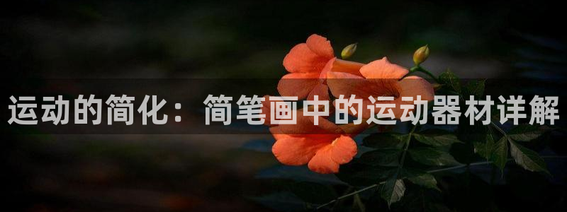 凯捷体育招商电话是多少啊：运动的简化：简笔画中的运动