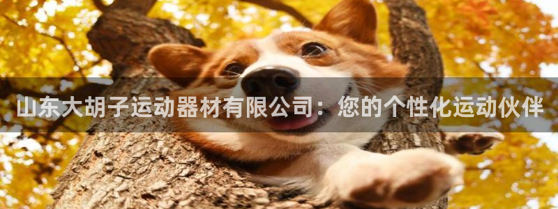 凯捷体育平台APP：山东大胡子运动器材有限公司：您的