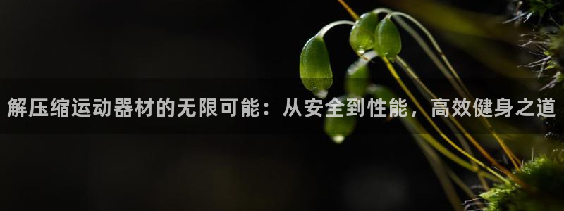 意昂集团官网：解压缩运动器材的无限可能：从安全到性能