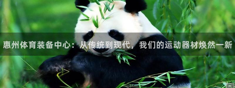 凯捷体育娱乐首页网站大全：惠州体育装备中心：从传统到现代，我