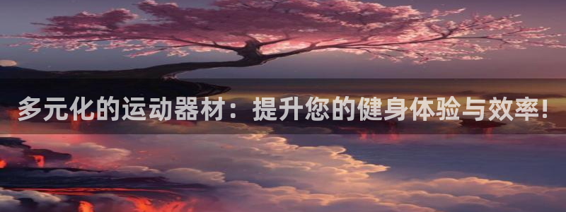 凯捷体育集团简介