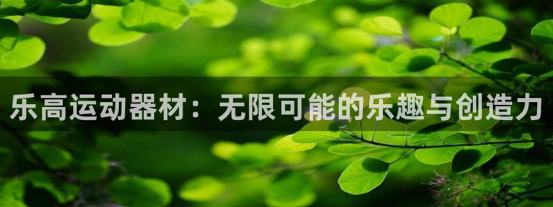 凯捷体育平台注册流程视频：乐高运动器材：无限可能的乐