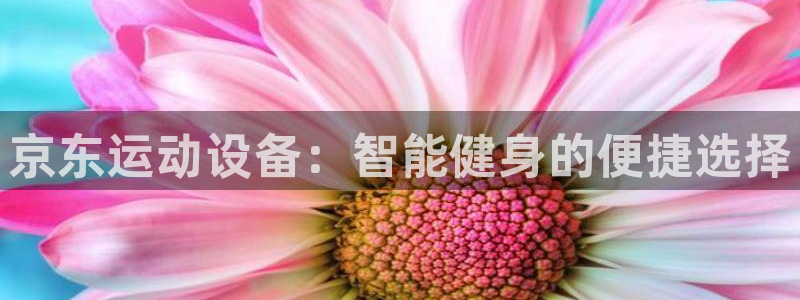 凯捷体育联系电话：京东运动设备：智能健身的便捷选择