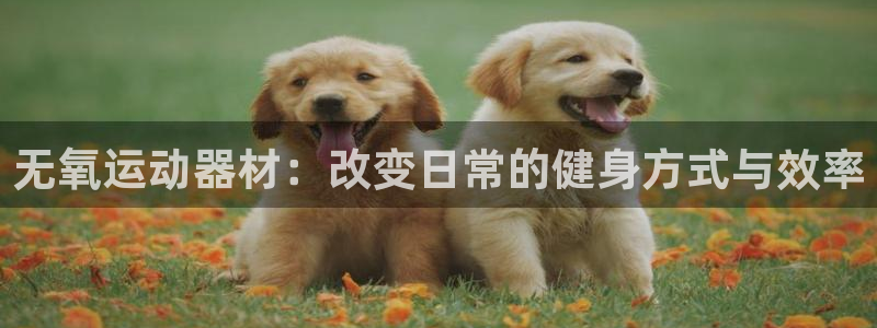 凯捷体育五金厂：无氧运动器材：改变日常的健身方式与效