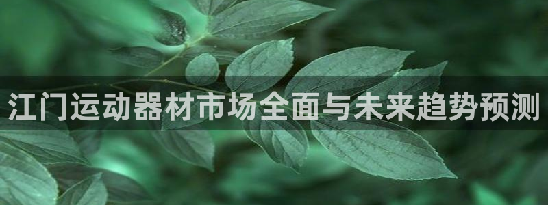 凯捷体育代理：江门运动器材市场全面与未来趋势预测