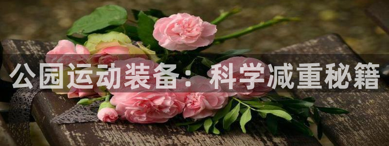 凯捷体育招商电话号码是多少号：公园运动装备：科学减重秘籍