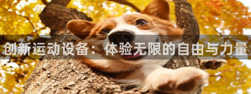 凯捷体育娱乐是那个系列的台子：创新运动设备：体验无限的自由与