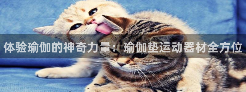 凯捷体育官方：体验瑜伽的神奇力量：瑜伽垫运动器材全方位