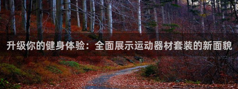 凯捷体育娱乐40996：升级你的健身体验：全面展示运