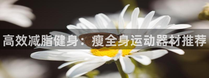 凯捷体育集团官网网址：高效减脂健身：瘦全身运动器材推荐