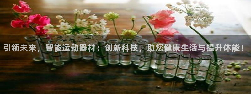 海南凯捷体育发展怎么样：引领未来，智能运动器材：创新科技，助