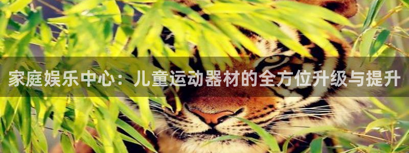 凯捷体育平台是正规平台吗知乎：家庭娱乐中心：儿童运动器材的全