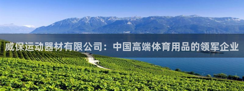 注册凯捷体育：威保运动器材有限公司：中国高端体育用品的领军企