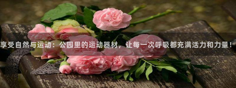 凯捷体育招商电话号码是多少啊：享受自然与运动：公园里