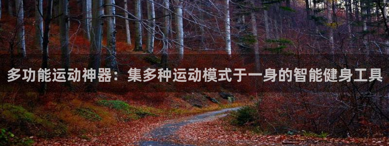 凯捷体育集团官网网址：多功能运动神器：集多种运动模式于一身的