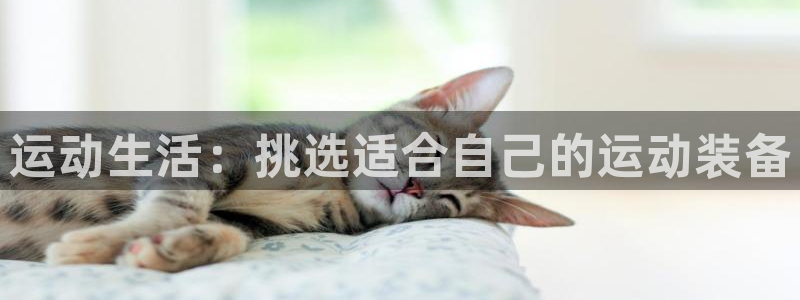 凯捷体育开户：运动生活：挑选适合自己的运动装备