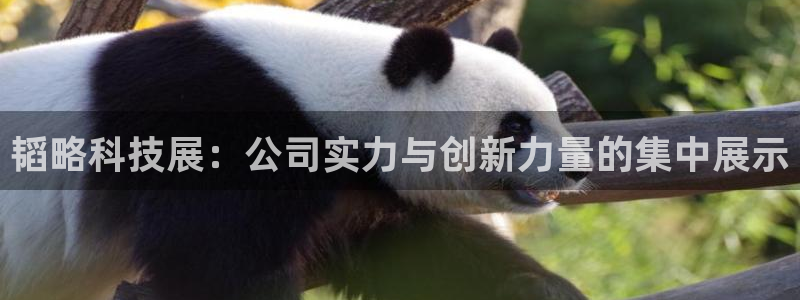 凯捷体育官方：韬略科技展：公司实力与创新力量的集中展