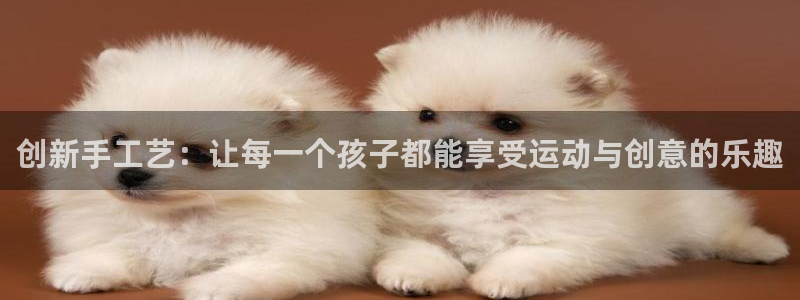 凯捷体育官方客服电话：创新手工艺：让每一个孩子都能享