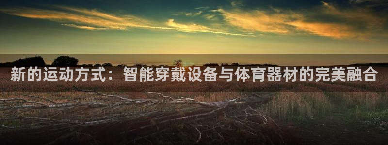 凯捷体育集团E.ON：新的运动方式：智能穿戴设备与体育器材的