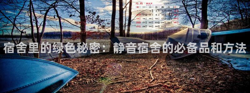 凯捷体育官方