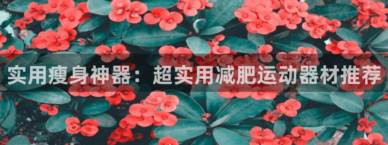 海南凯捷体育