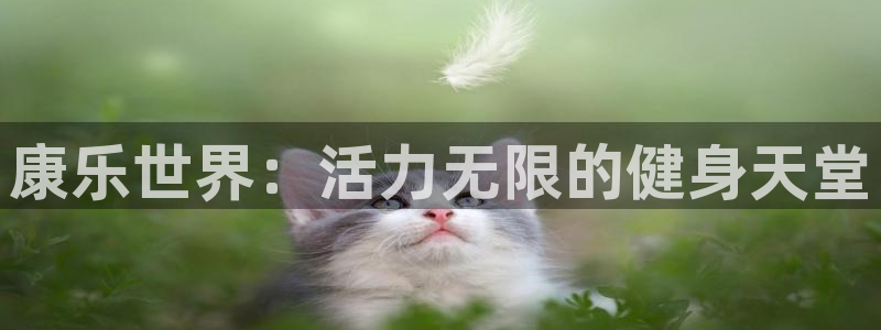 凯捷体育招商电话号码是多少
