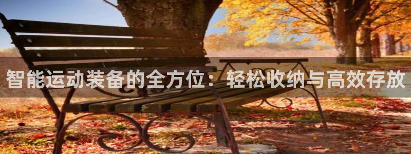 凯捷体育娱乐下载：智能运动装备的全方位：轻松收纳与高