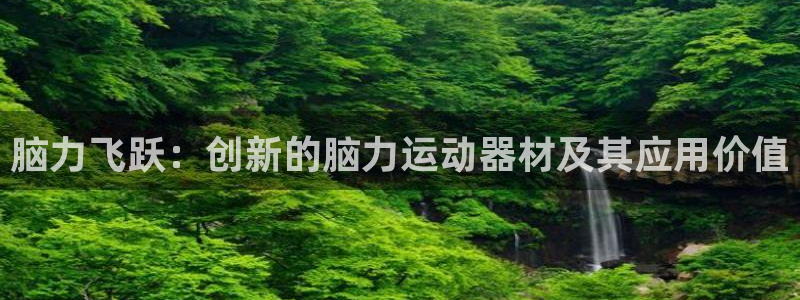 凯捷体育集团简介：脑力飞跃：创新的脑力运动器材及其应