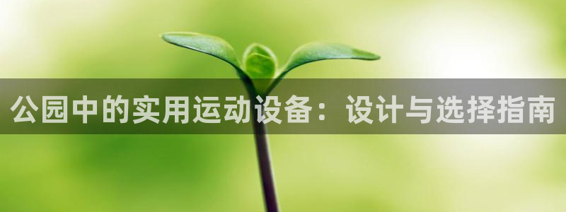 凯捷体育开户：公园中的实用运动设备：设计与选择指南