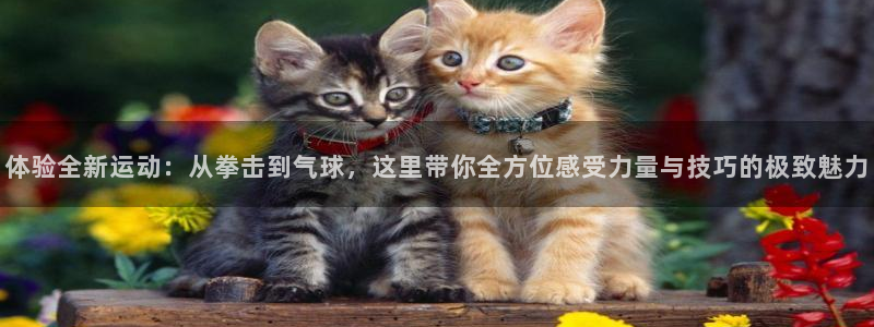凯捷体育招商电话地址查询：体验全新运动：从拳击到气球