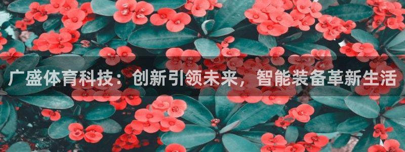 凯捷体育五金厂：广盛体育科技：创新引领未来，智能装备革新生活