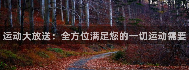 凯捷体育平台注册：运动大放送：全方位满足您的一切运动需要