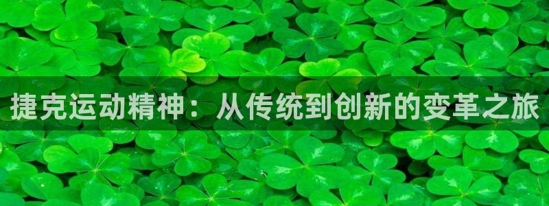凯捷体育平台是正规平台吗：捷克运动精神：从传统到创新