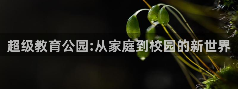 凯捷体育招商电话：超级教育公园:从家庭到校园的新世界
