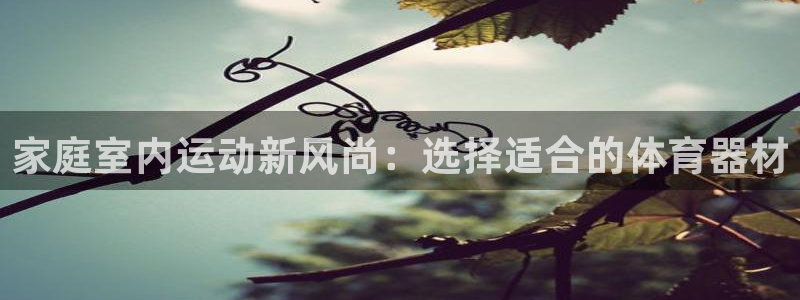 凯捷体育集团官网网址