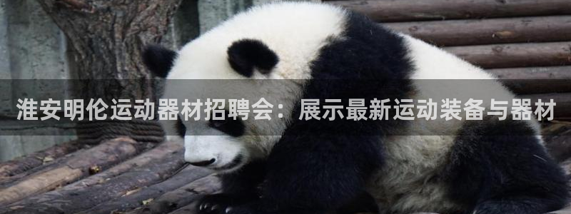凯捷体育集团logo