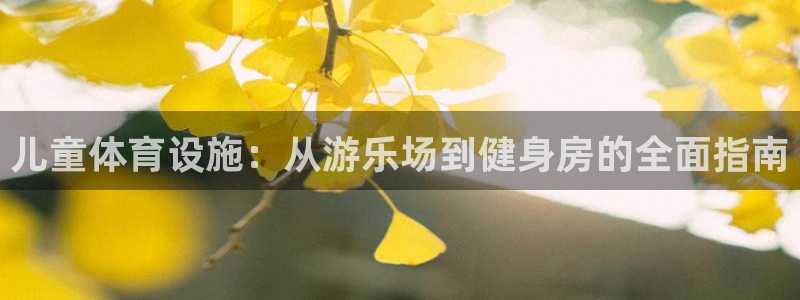 凯捷体育开户：儿童体育设施：从游乐场到健身房的全面指南