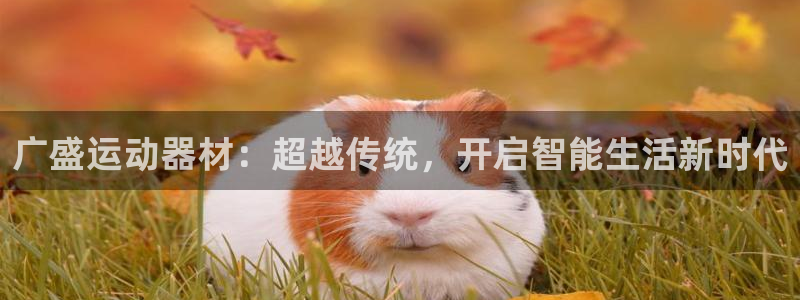 凯捷体育招商电话是多少：广盛运动器材：超越传统，开启