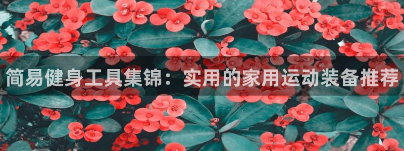 凯捷体育娱乐：简易健身工具集锦：实用的家用运动装备推
